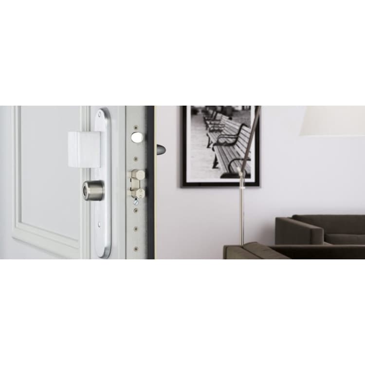 PORTE BLINDÉE FOXEO HIS - Vue 2