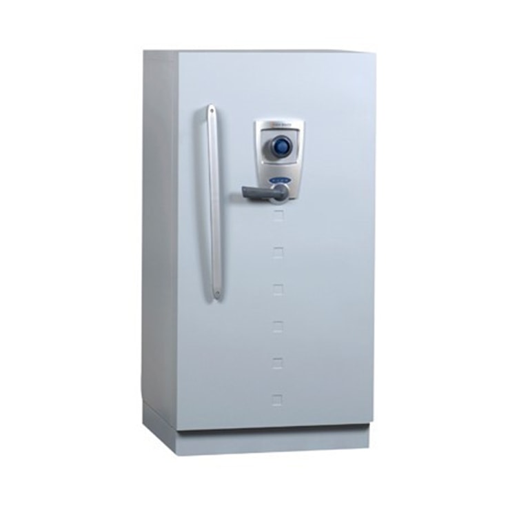 Armor Safe - Expert en sécurité